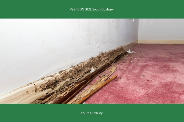 PEST CONTROL South Duxbury